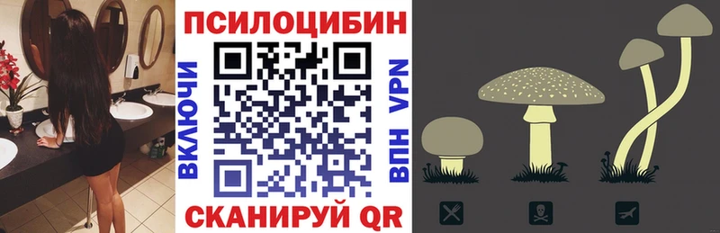где найти наркотики  Весьегонск  Псилоцибиновые грибы Magic Shrooms 